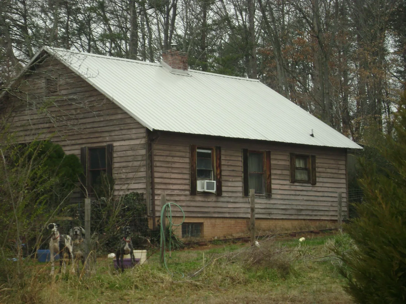 White metal roof on an old wood sided farmhouse, from a Asphalt Shingle Roof Repair job in Allendale